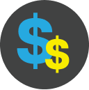 dollar icon